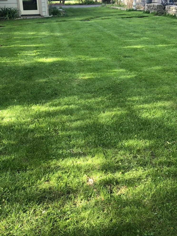 Custom yard maintenance near you across Hales Corners, WI - AIM Lawncare