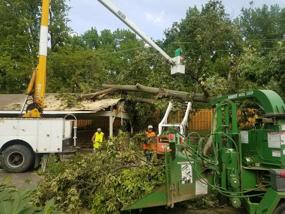 Professional outdoor landscaping near you across House Springs, MO - Aim to Amaze