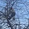 Professional garden landscaping experts serving House Springs, MO - Aim to Amaze