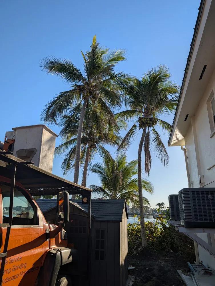 Reliable garden landscaping in Naples, FL by Aim To Please Landscapes