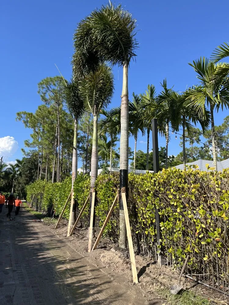 Top-rated residential landscaping in Naples, FL - Aim To Please Landscapes