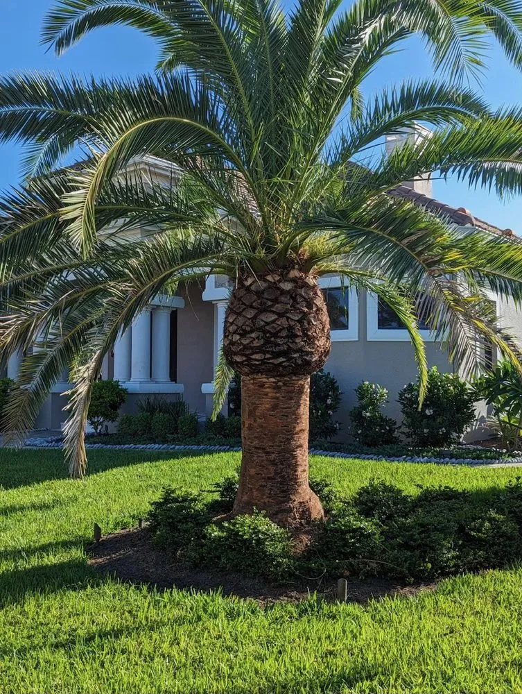 Top-rated lawn care service experts serving Naples, FL - Aim To Please Landscapes