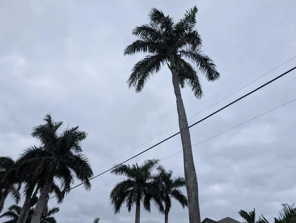 Custom landscape installation for homes in Naples, FL by Aim To Please Landscapes