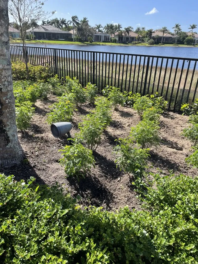 Custom yard maintenance in Naples, FL - Aim To Please Landscapes