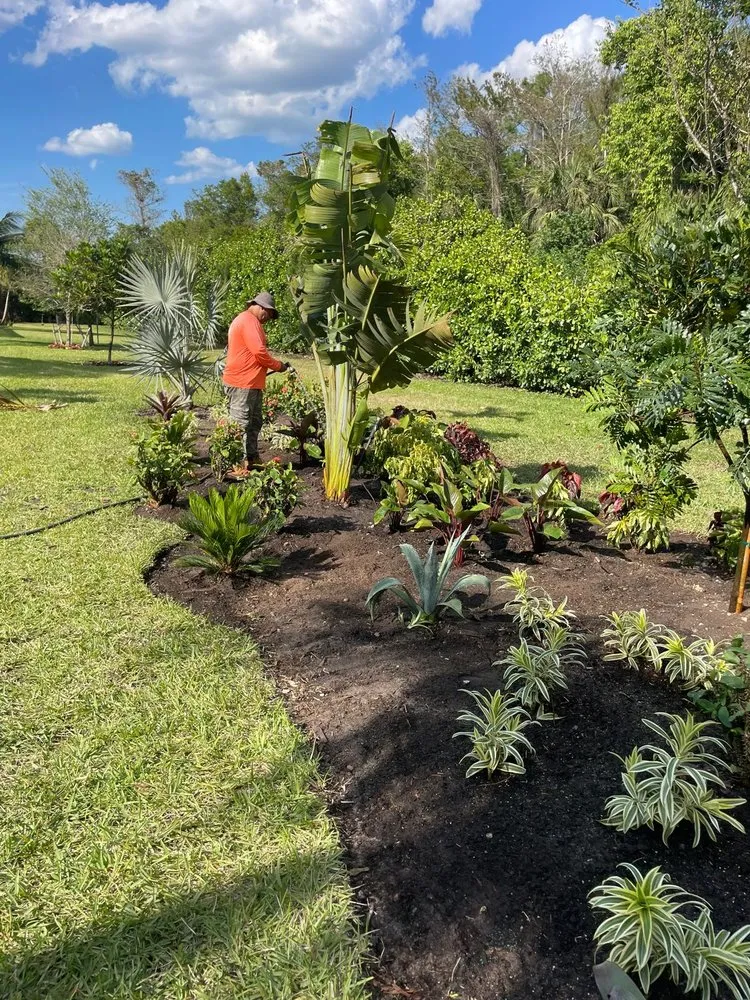 Expert yard cleanup service in Naples, FL by Aim To Please Landscapes