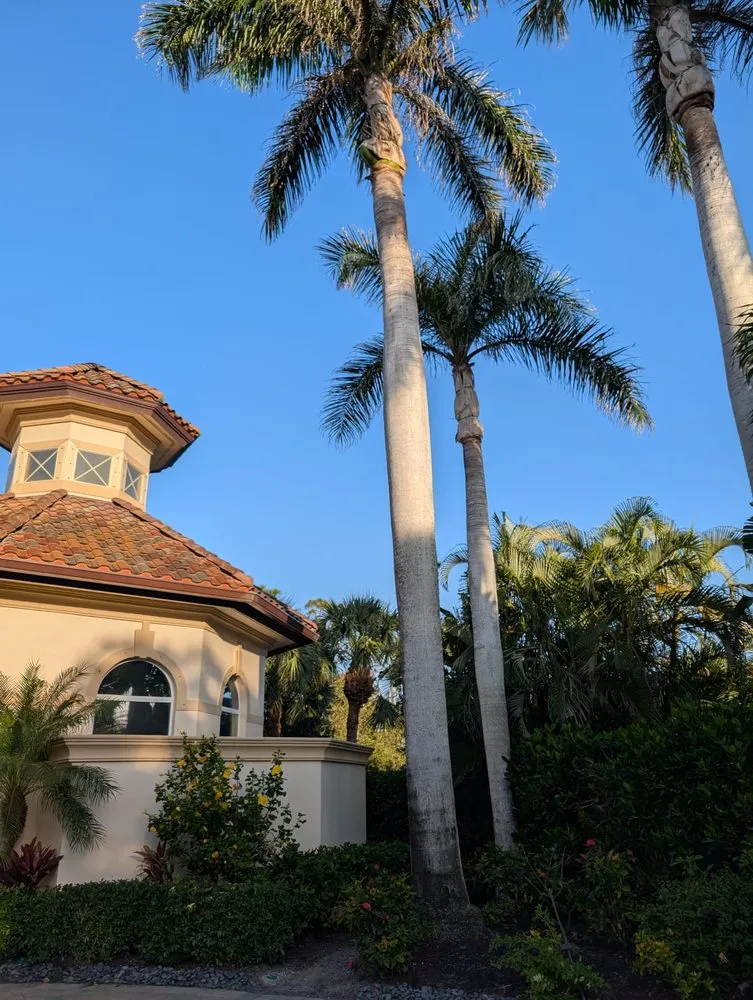 Affordable yard maintenance near you across Naples, FL - Aim To Please Landscapes