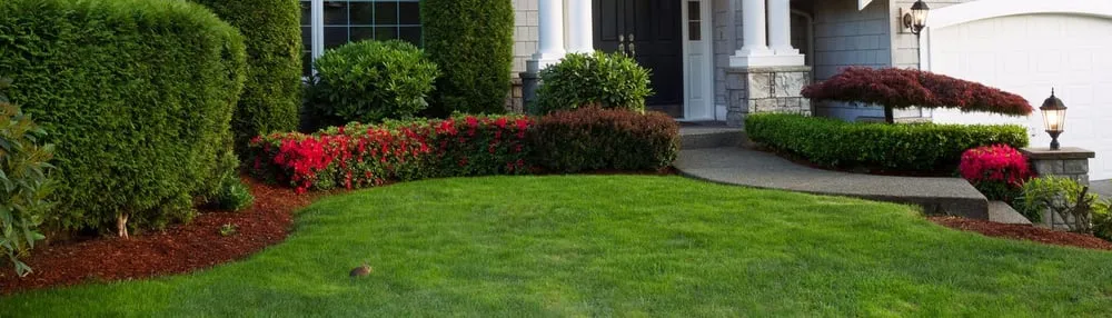 Affordable outdoor landscaping for year-round maintenance in West Park, FL by Aim To Please Landscaping and Tree Service