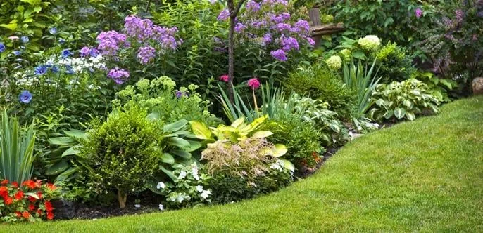 Reliable yard maintenance for outdoor upgrades in West Park, FL by Aim To Please Landscaping and Tree Service