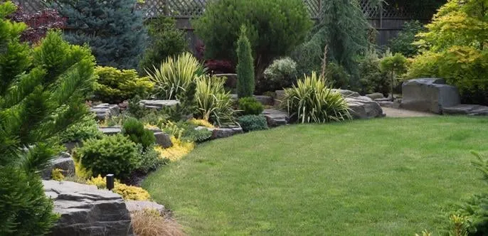 Professional residential landscaping for year-round maintenance across West Park, FL - Aim To Please Landscaping and Tree Service