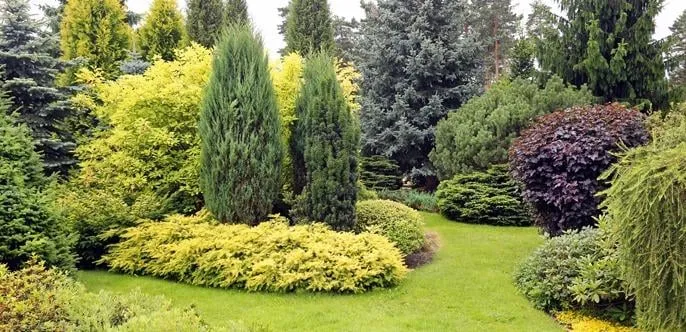 Trusted yard cleanup service in West Park, FL - Aim To Please Landscaping and Tree Service