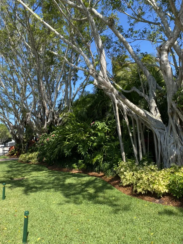 Professional outdoor landscaping in Naples, FL - Aim's Lawn Care