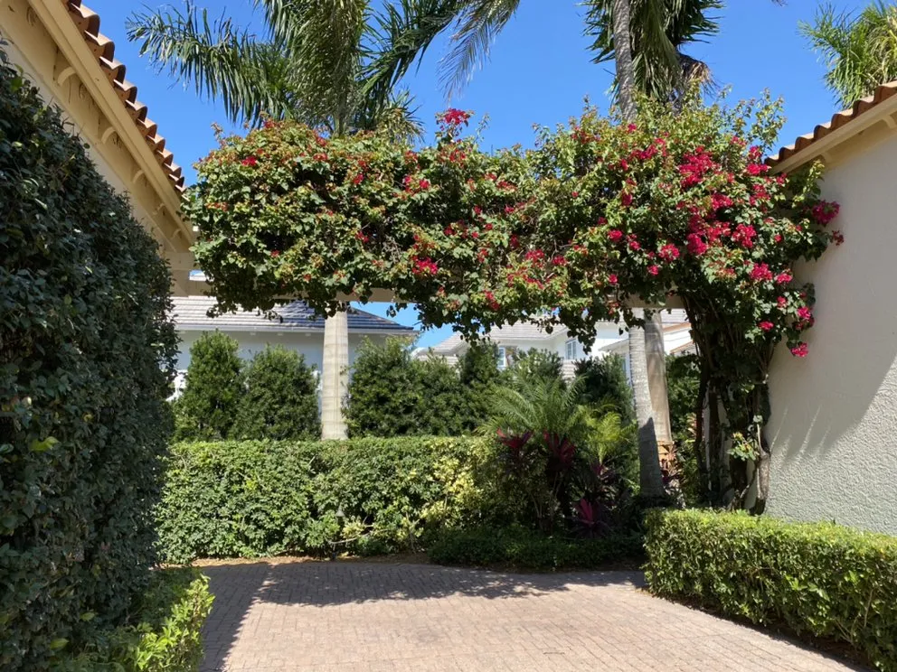 Reliable lawn mowing service near you in Naples, FL by Aim's Lawn Care