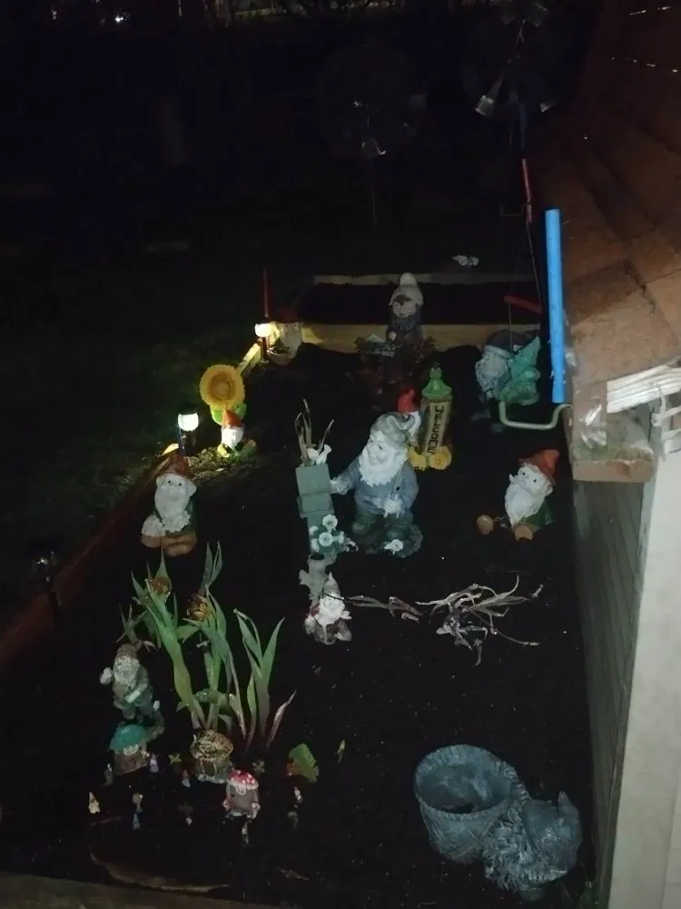 Custom yard cleanup service experts serving Washington Township, MI - Aims Lawn Care
