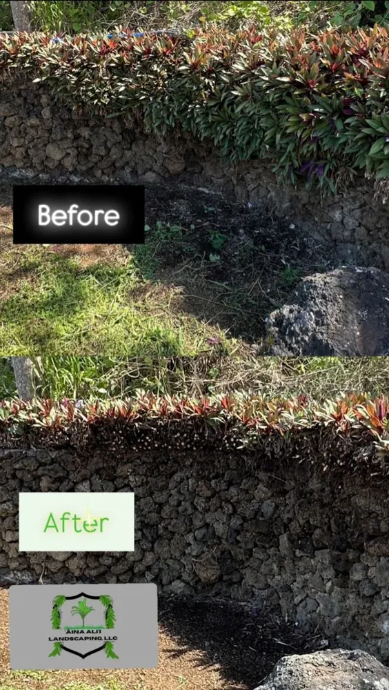 Affordable yard cleanup service near you in Holualoa, HI by Aina Alii Landscaping