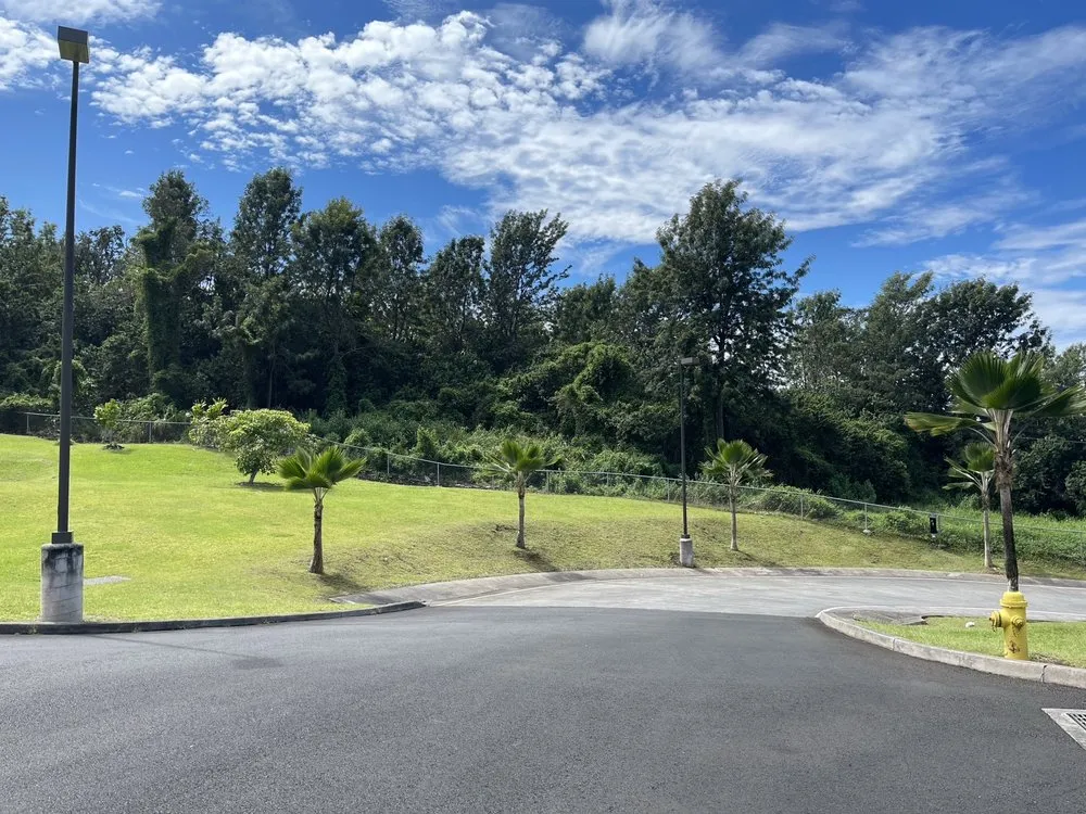 Trusted yard cleanup service experts serving Holualoa, HI - Aina Alii Landscaping