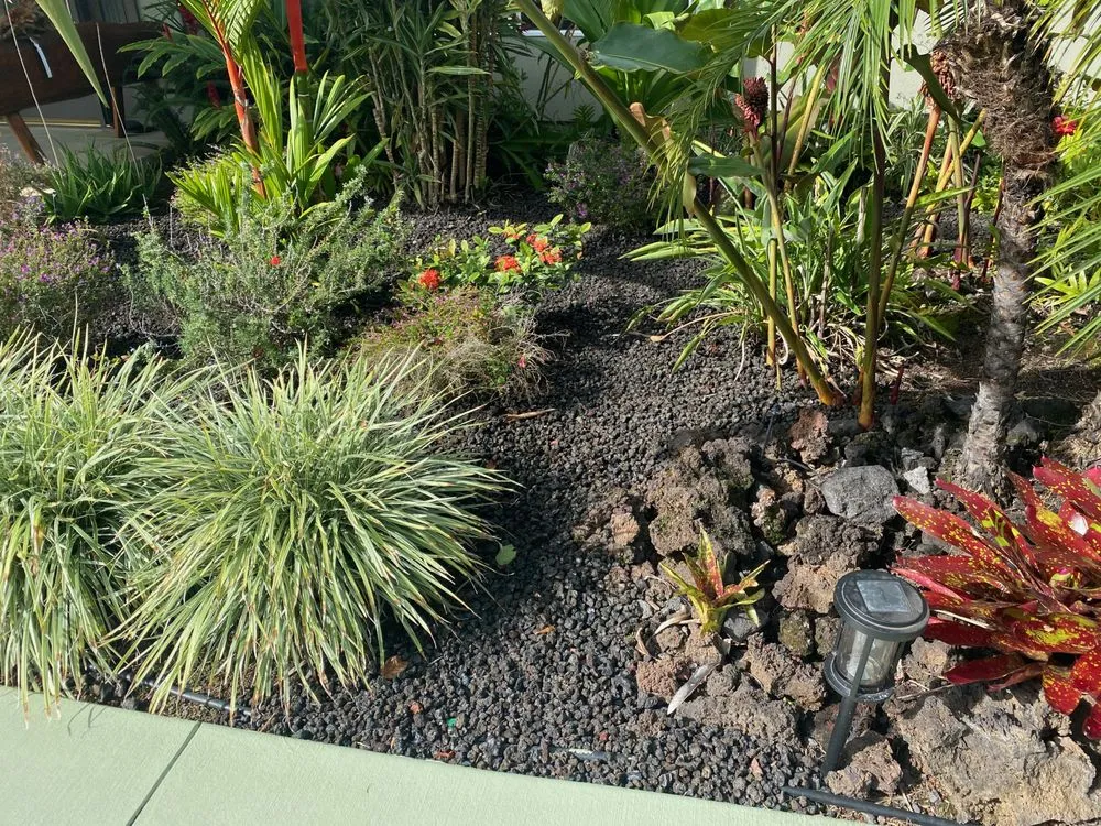 Reliable lawn mowing service in Kailua-Kona, HI by Aina Landscaping