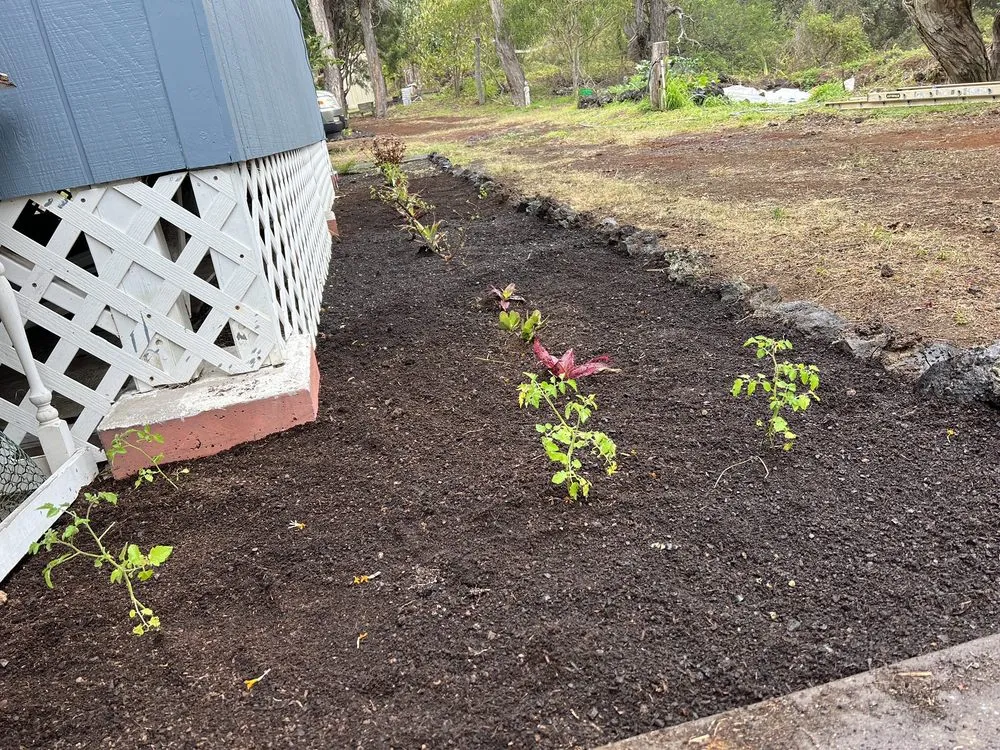 Professional garden landscaping in Puako, HI - Aina Terra Permascapes