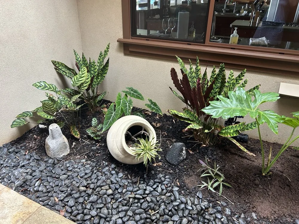 Trusted yard cleanup service for residential properties in Puako, HI by Aina Terra Permascapes