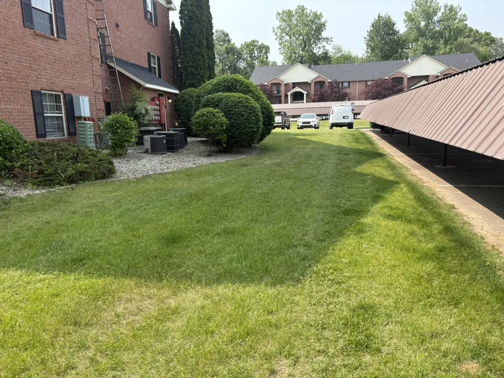 Custom yard cleanup service for outdoor upgrades across Flint, MI - Ainslie Landscaping