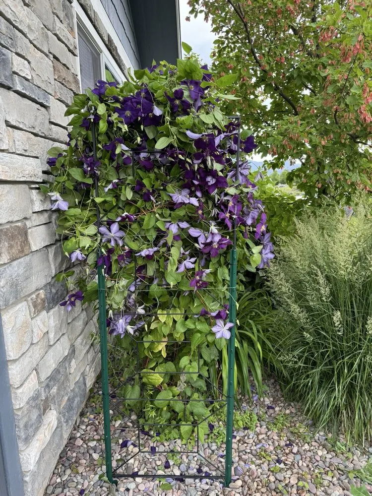 Local yard cleanup service for beautiful yards in Missoula, MT by AIO