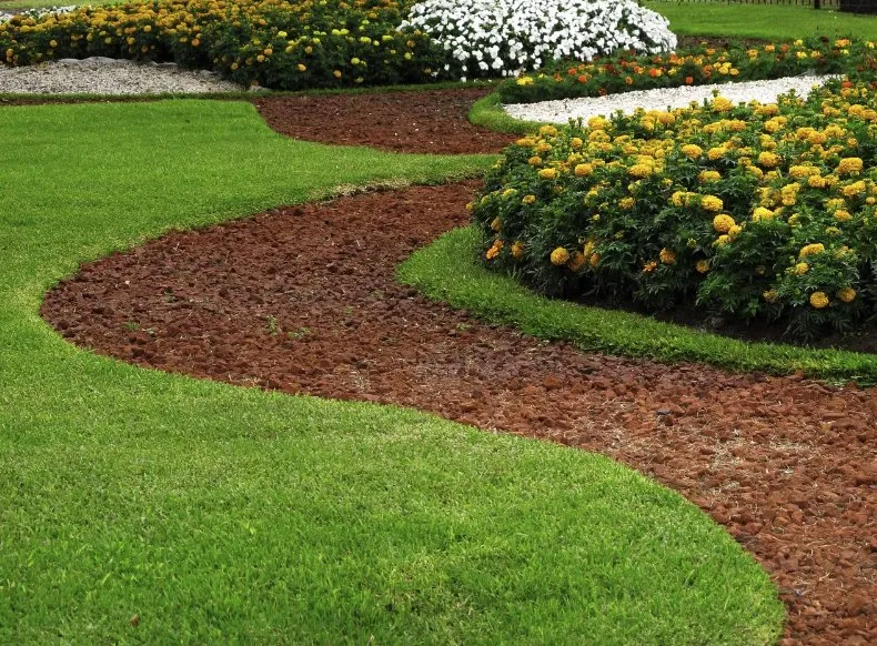 Trusted yard cleanup service in Bluefield, VA - Airborne Acres