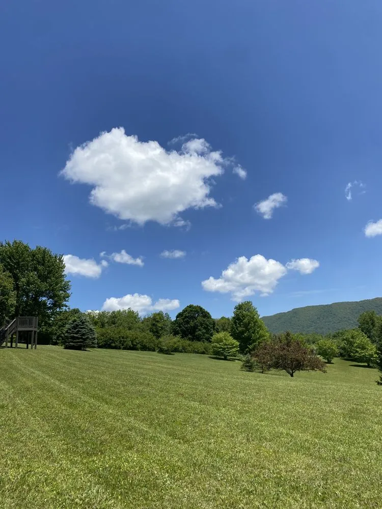 Expert lawn care service in Bluefield, VA - Airborne Acres