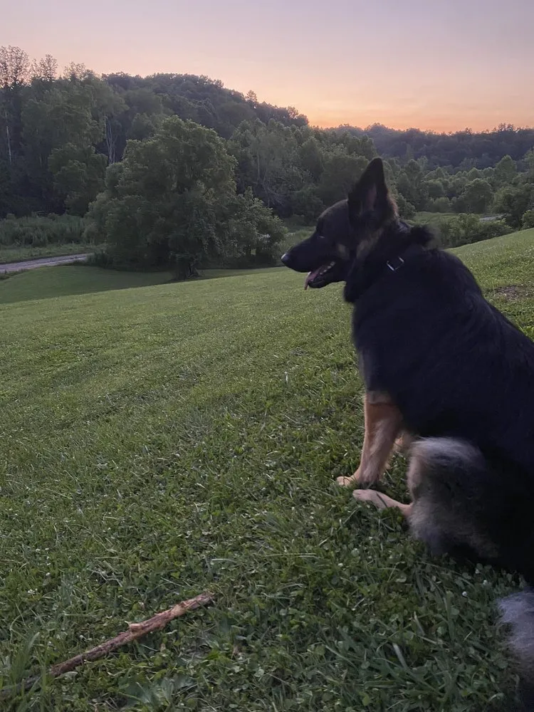 Expert landscape design experts serving Bluefield, VA - Airborne Acres