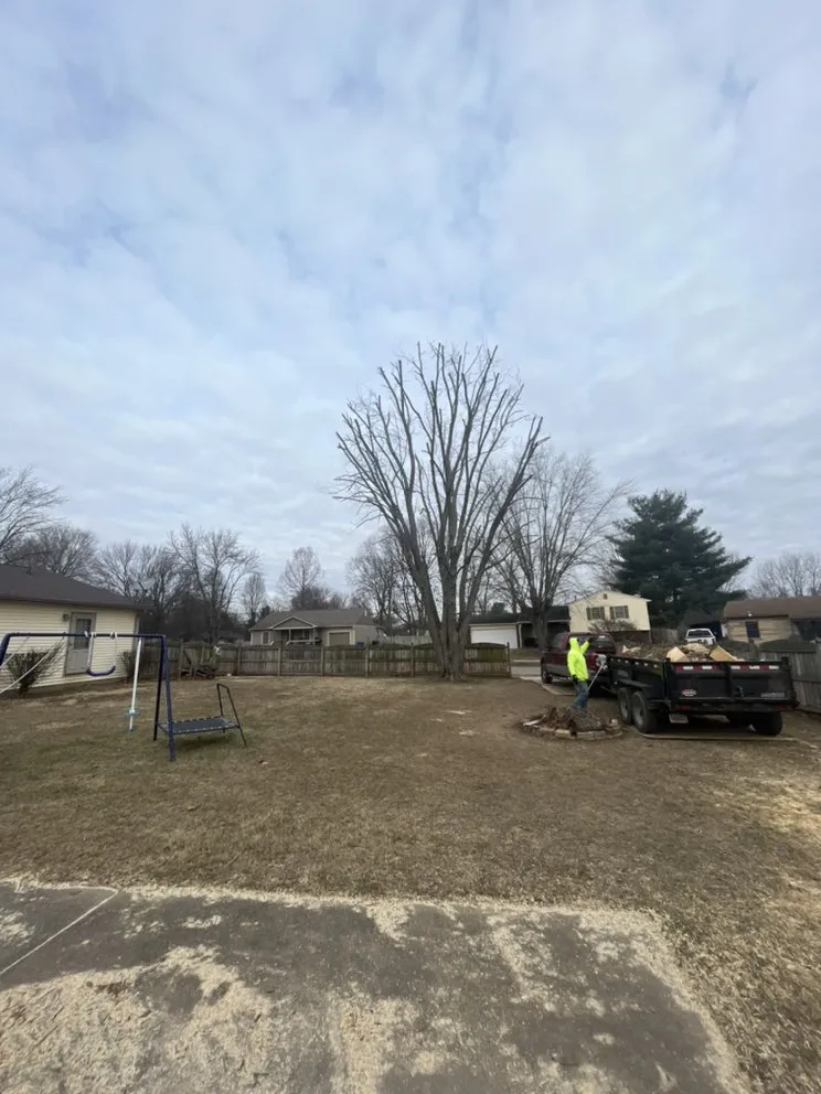 Reliable outdoor landscaping experts serving Indianapolis, IN - Airbourne Tree Service