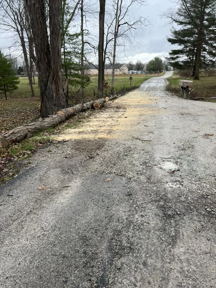 Affordable lawn mowing service in Indianapolis, IN by Airbourne Tree Service