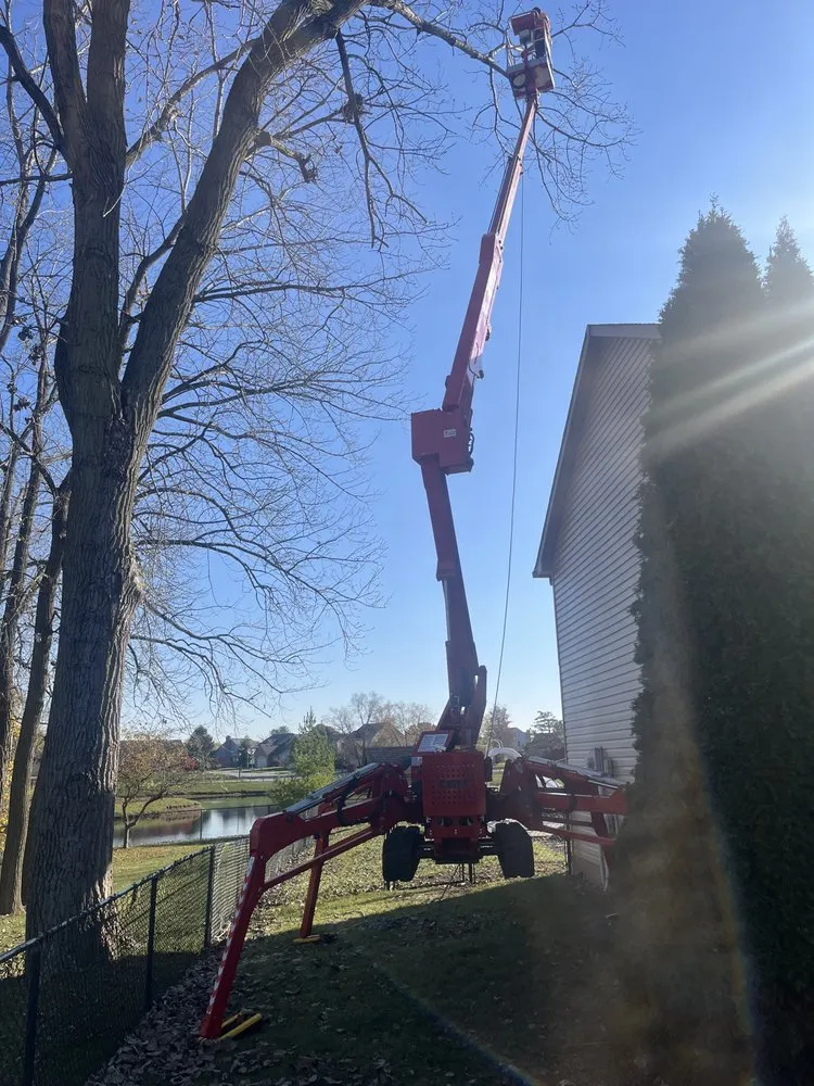 Trusted landscape installation in Indianapolis, IN by Airbourne Tree Service