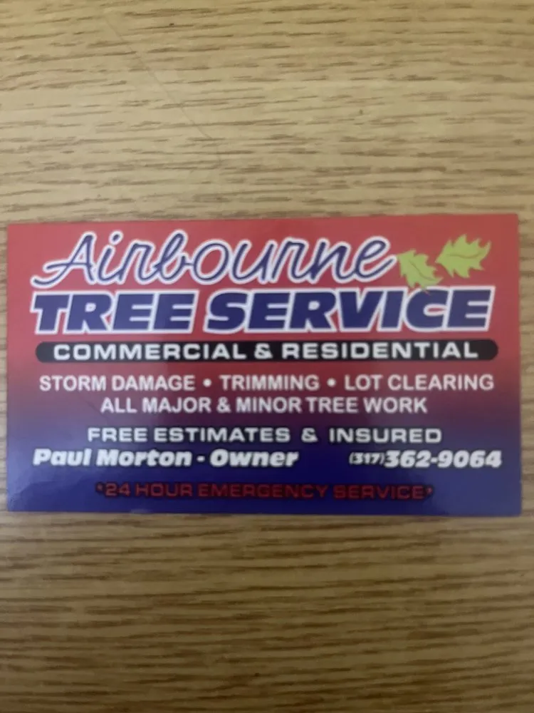 Reliable yard maintenance in Indianapolis, IN by Airbourne Tree Service