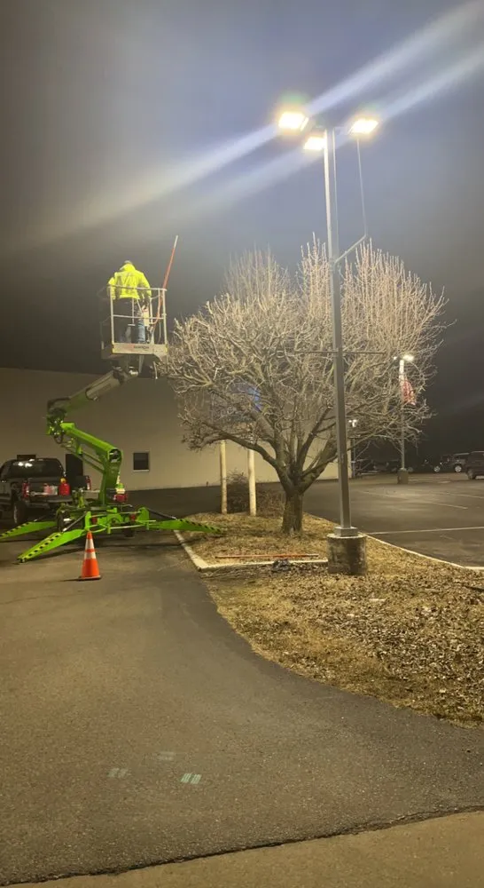 Reliable yard cleanup service experts serving Indianapolis, IN - Airbourne Tree Service