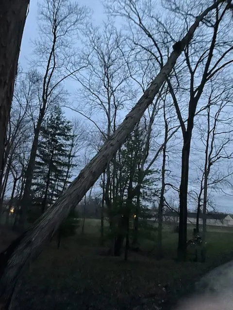 Professional outdoor landscaping for beautiful yards across Indianapolis, IN - Airbourne Tree Service