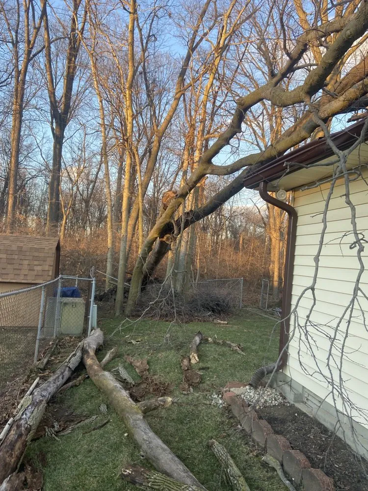 Trusted landscaping services in Indianapolis, IN by Airbourne Tree Service