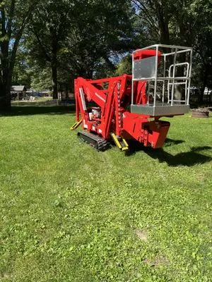 Airbourne Tree Service Logo