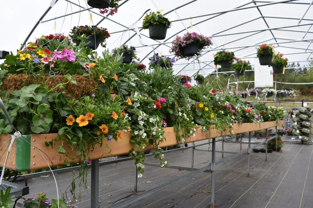 Expert yard maintenance for beautiful yards across Port Angeles, WA - Airport Garden Center