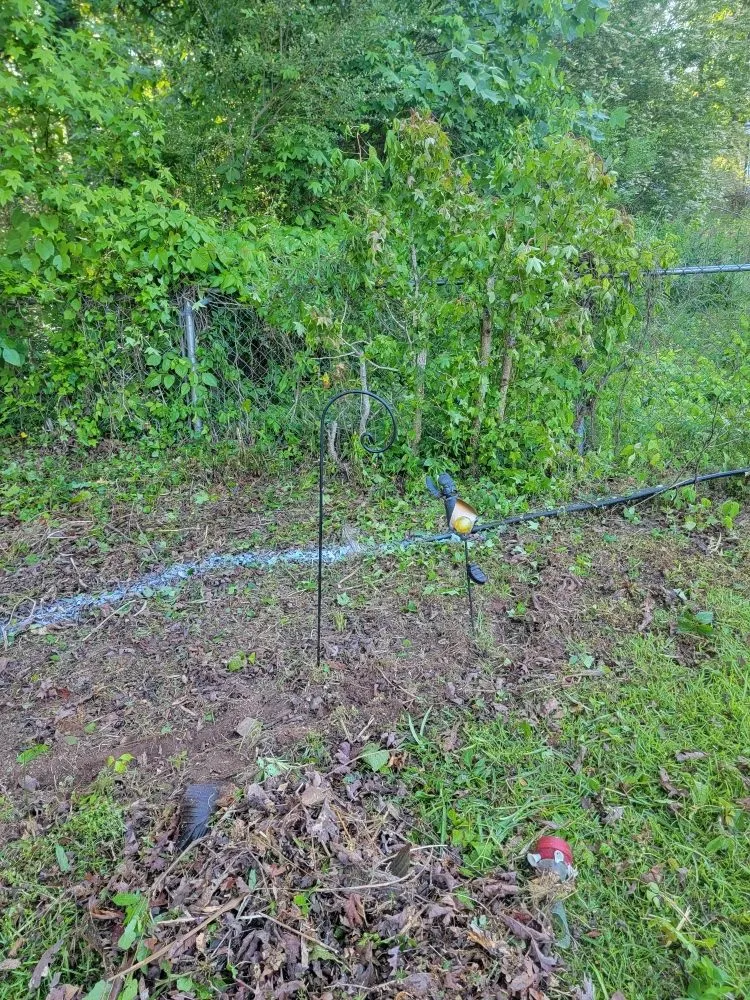 Affordable residential landscaping experts serving Newnan, GA - Airtight Handyman Services