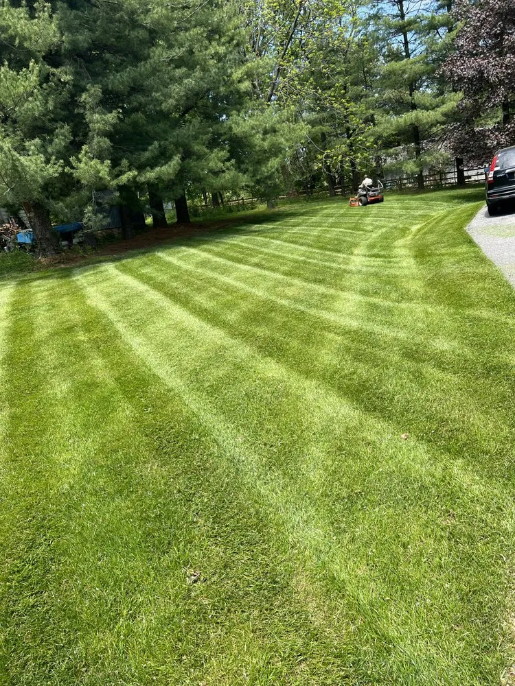 Professional residential landscaping in Mount Airy, MD by Airy Lawn Service