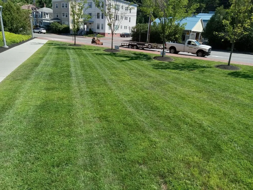 Affordable landscape installation near you in Portland, ME by Aisling landscaping
