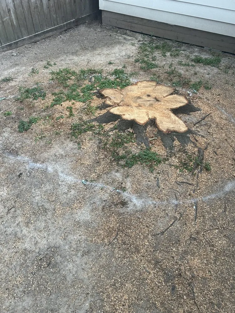 Trusted yard cleanup service experts serving Houston, TX - Aisling Prime Landscaping & Design