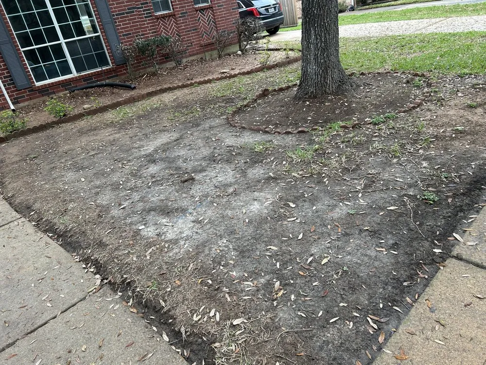 Affordable garden landscaping for year-round maintenance in Houston, TX by Aisling Prime Landscaping & Design