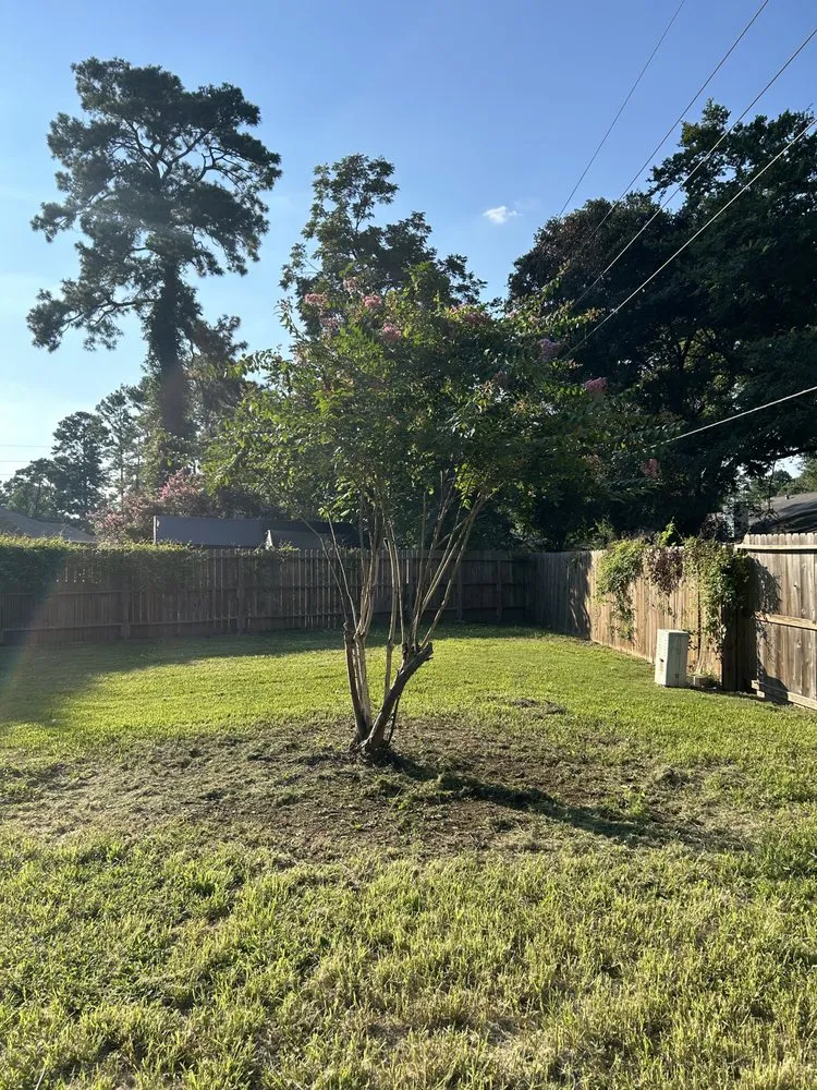 Local yard maintenance in Houston, TX - Aisling Prime Landscaping & Design