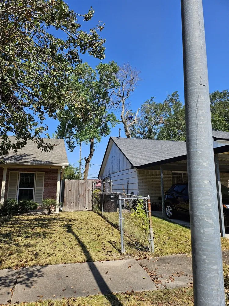 Custom yard cleanup service experts serving Houston, TX - Aisling Prime Landscaping & Design