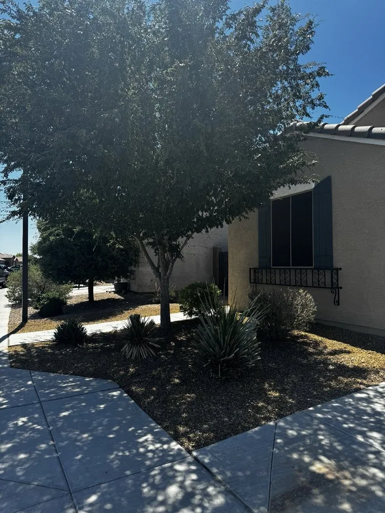 Affordable residential landscaping for outdoor upgrades across El Mirage, AZ - Aispuros Landscape