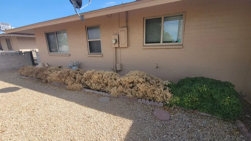 Affordable landscape design near you in El Mirage, AZ by Aispuros Landscape