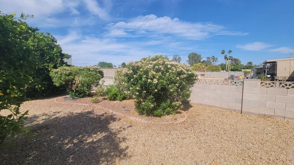Professional garden landscaping in El Mirage, AZ by Aispuros Landscape