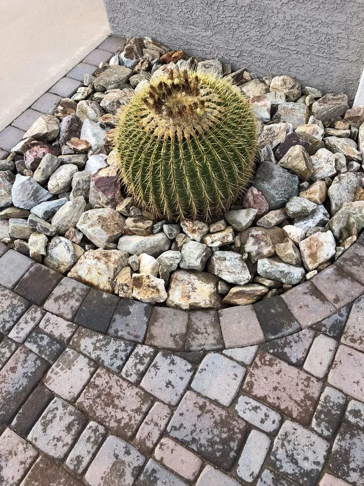 Professional landscape installation in El Mirage, AZ - Aispuros Landscape