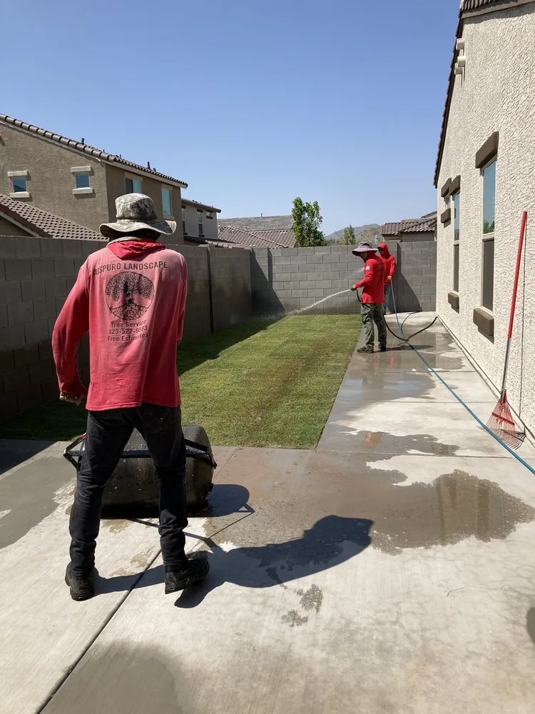 Trusted residential landscaping in El Mirage, AZ by Aispuros Landscape