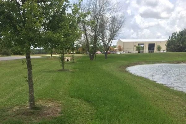 Custom landscaping services in Freeport, FL by Aitken's Lawn Maintenance