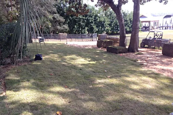 Professional landscaping services in Freeport, FL by Aitken's Lawn Maintenance